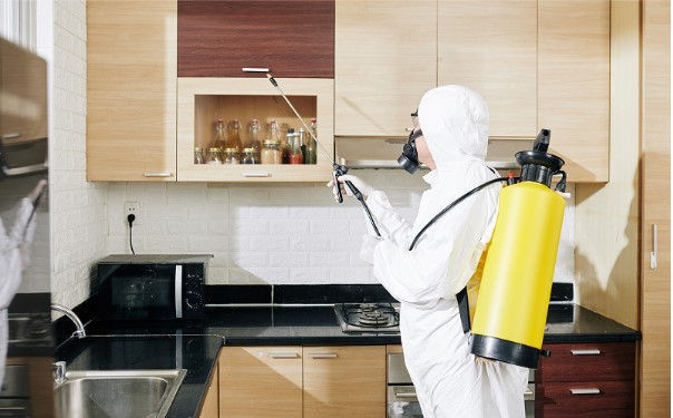 A Homeowner’s Guide to Choosing the Right Pest Control Services A Homeowner’s Guide to Choosing the Right Pest Control Services